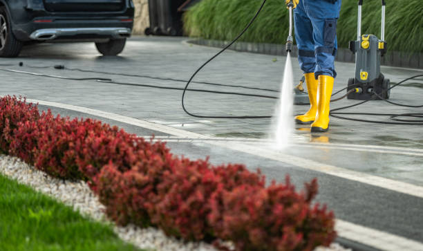 Best Building Exterior Washing  in Browntown, PA